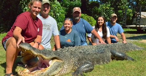 Mdwfp Mississippis Alligator Hunting Season Opens August 31st