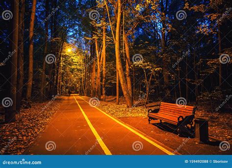 Pathway In Autumn Park At Dusk Stock Photo Image Of Beauty Beautiful