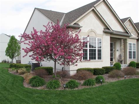 Dwarf Crabapple Trees Are Also An Early Bloomer The Dwarf