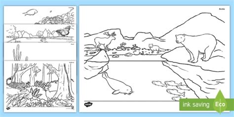 Animals Habitat Scenes Colouring Pages Teacher Made