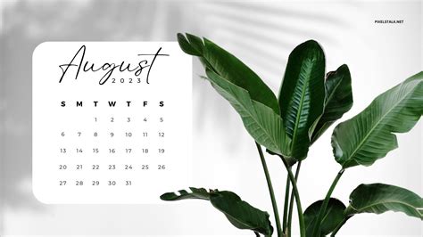 August 2023 Calendar Desktop Wallpapers Pixelstalknet