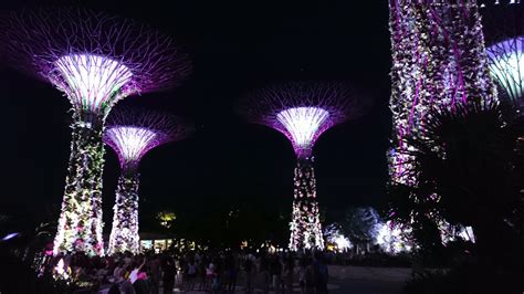 Gardens By The Bay Super Trees Grove And Skyway Singapore Visions
