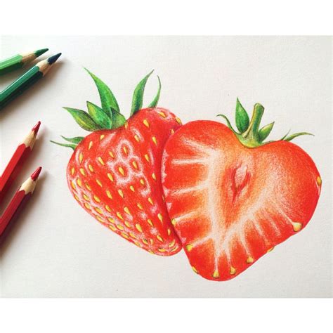 Erdbeeren Strawberry Frais Виктория клубника иллюстрация рисунок
