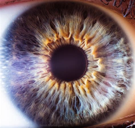 'Your Beautiful Eyes' - Amazing Close-Up Photos Of Human Eyes By Suren ...
