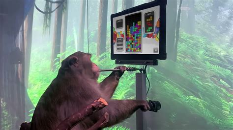 Neuralink Monkey Plays Tetris Youtube