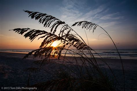 Sunrise On The Beach Hilton Head Island South Carolina Tom Dills