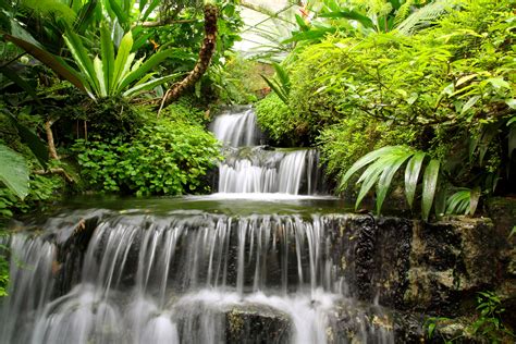 tropical-waterfall