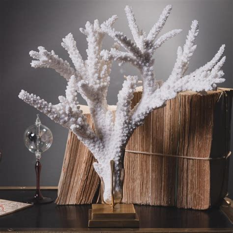 Beautiful White Coral Branch On Brass Base This Type Of Branch Coral