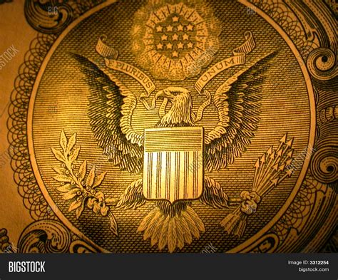 Bald Eagle One Dollar Image And Photo Free Trial Bigstock