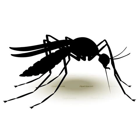 Cartoon Mosquito Clipart Best