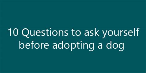 10 Questions To Ask Yourself Before Adopting A Dog Doggyzoo