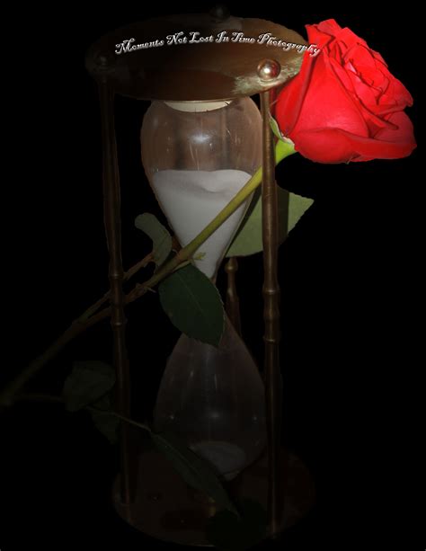Hour Glass With Rose Rose Jackson Time Photography Hourglass Mirrors