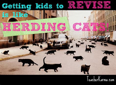 Getting Kids To Revise Is Like Herding Cats Writing Freebie Teacher