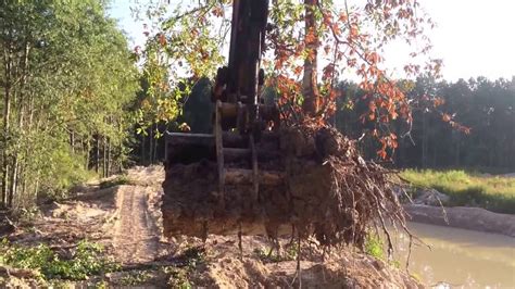 Transplanting Large Trees With Excavator Youtube