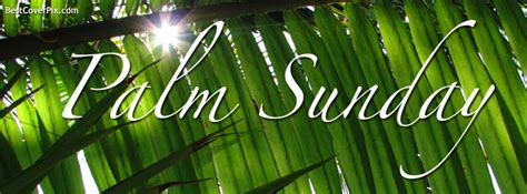 Palm Sunday Facebook Cover Photo Facebook Cover Photos
