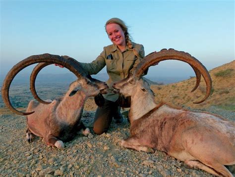 3 Day Hunt In Pakistan For Sindh Ibex Trophy For 1 Sindh Ibex Up To