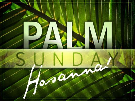 Sermon—palm Sunday Pilgrimmage Westminster Presbyterian Church