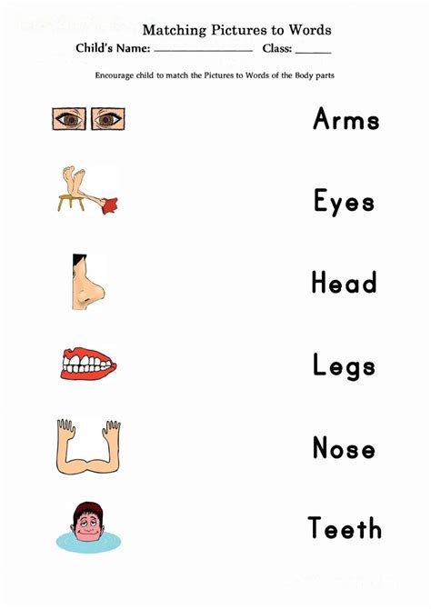 Check spelling or type a new query. Matching body parts interactive worksheet