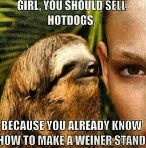 85 Best Sloth♥ Images On Pinterest Sloth Funny Photos And Ha Ha