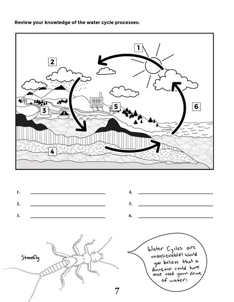 View Diagram Water Cycle Worksheet  Catalogue Of Diagrams