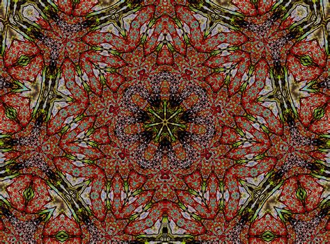 Kaleidoscopic 6 By Ccampbell11 On Deviantart