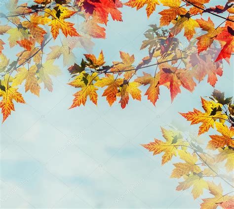 Autumn Leaves On Blue Sky Background — Stock Photo © Artnature 86974980