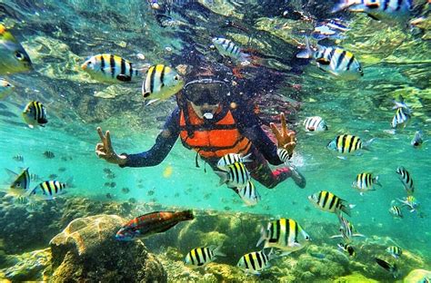 Pantai bunga batubara, wisata yang lagi hits dan instagramable 2021. 11 Spot Foto Pantai Krakal 🏖️ Jogja (HTM, Rute, Obyek Wisata)