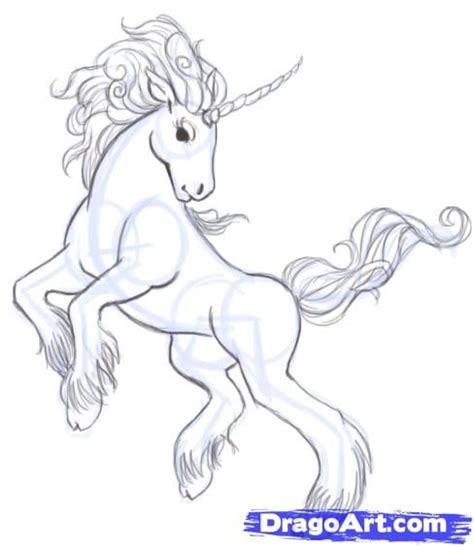 Anime Unicorn Drawing Pics Drawing Skill