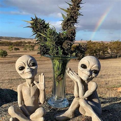 Two Alien Figurines Sitting On The Ground Next To A Vase Filled With