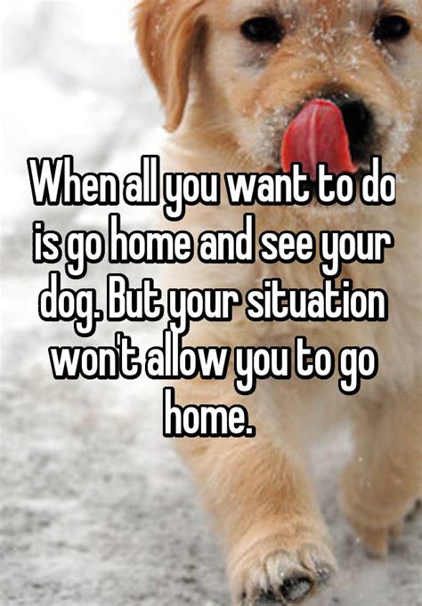 The film was produced by dreamworks entertainment. When all you want to do is go home and see your dog. But ...