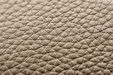 Texture Of The Skin Stock Image Image Of Nature Bumpy 36776995