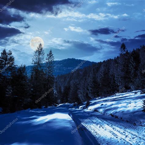 Snowy Road To Coniferous Forest In Mountains At Night
