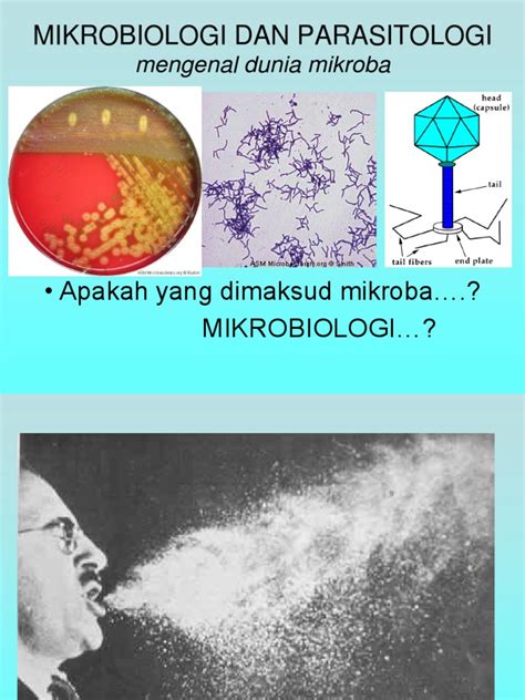 Dasar Dasar Mikrobiologi
