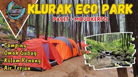Klurak Eco Park Pacet Mojokerto Update Suasana Tempat Camping Yang