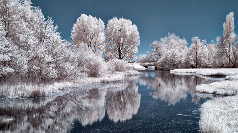3840x2160 Ice Lake Frozen Trees 4k 4k Hd 4k Wallpapers Images