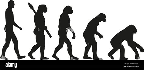 Homo Sapiens Illustration Evolution Hi Res Stock Photography And Images