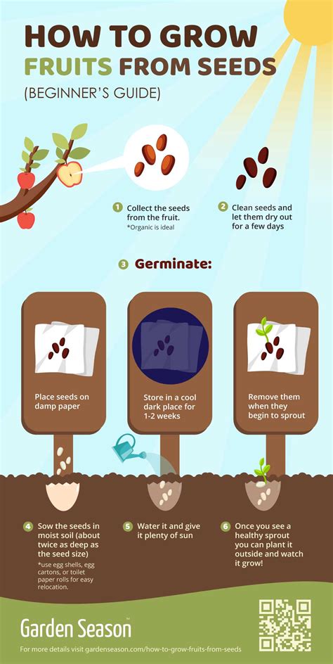 How To Grow 17 Fruits From Seeds Infographic