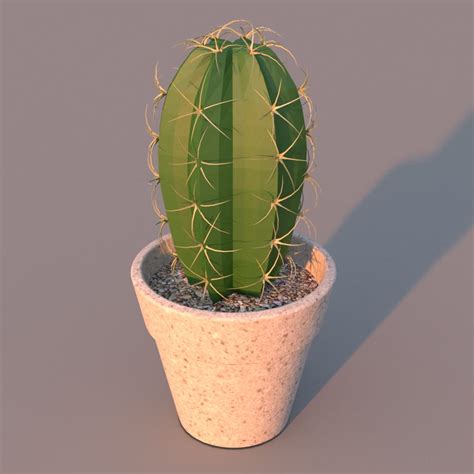 Buy and sell almost anything on gumtree. Cactus Plant | Revit Family | BlackBee3D