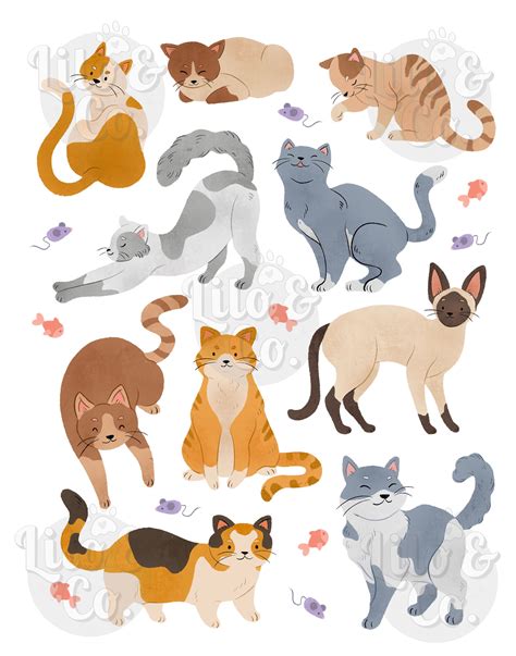 Cat Breeds Poster Cat Guide Poster Cat Lover T Printable Cat Wall