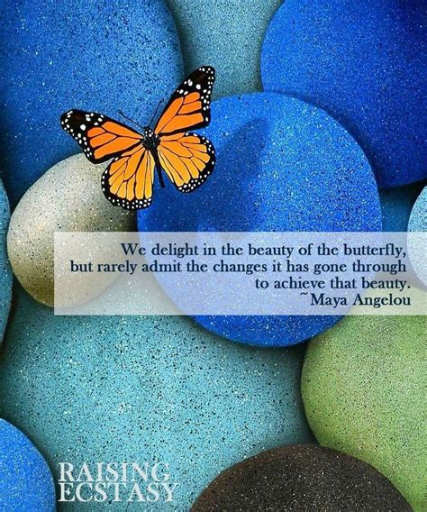 19 powerful maya angelou quotes. Pin by Christin on a | Favorite quotes, Maya angelou ...