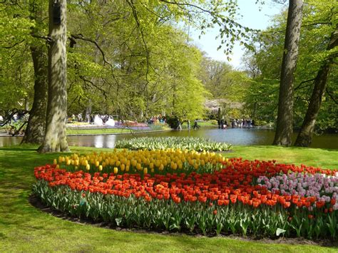 Keukenhof Tulip Gardens Virtual Tour Beautiful Flower Arrangements