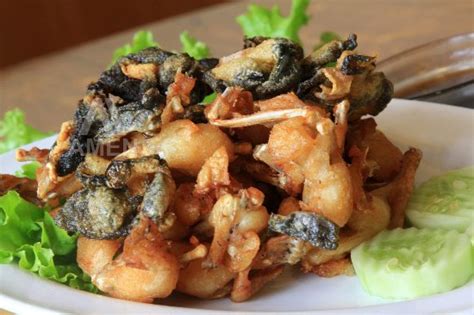 Sayur asem or sayur asam is an indonesian vegetable soup. Kodok Batu Cah Sayur Asin - Resep 2 Babi Cah Sayur Asin ...