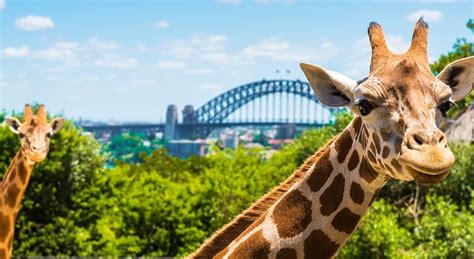 Was Sind Einige Der Top Attraktionen In Sydney