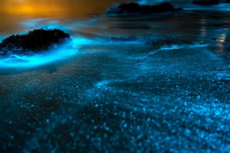 Insiders Guide To Touring Puerto Ricos Bioluminescent Bays Travel