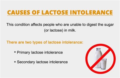 Lactose Intolerance Symptoms Causes Effects And Treatment Learn All