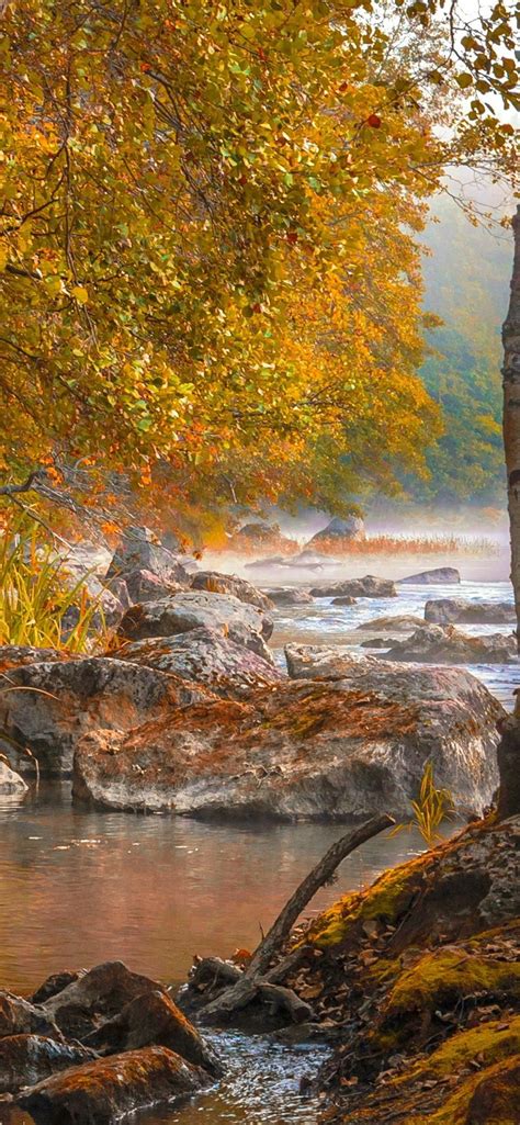 Autumn Rocks Trees Fog Morning River 828x1792 Iphone 11xr