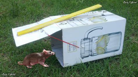 How To Make Homemade Humane Mouse Traps 10 Homemade Mouse Traps To