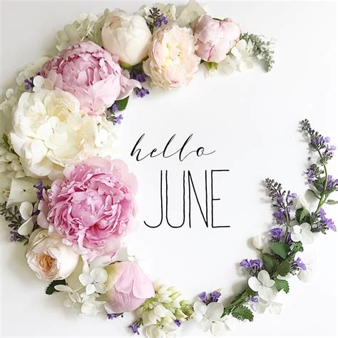 Hello June Hello June Month Flowers June Flower