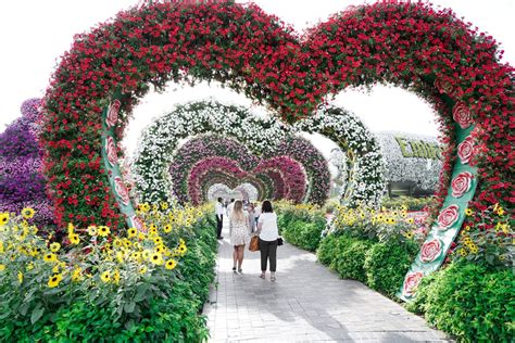 10 Things To Know Before Visiting Miracle Garden Dubai