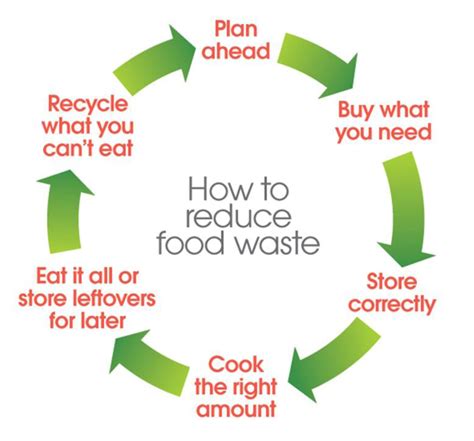Understanding Food Waste And How To Reduce It Infogra